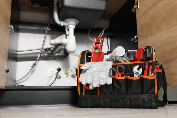 Best Local Plumber Services  in Leadington, MO