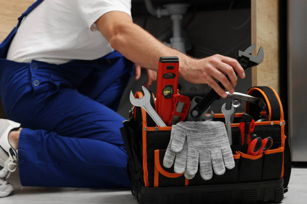 Best Clogged Drain Plumber  in Leadington, MO